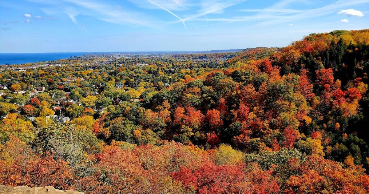 Fall in Love with Grimsby, Ontario: Top Autumn Attractions in Our Town